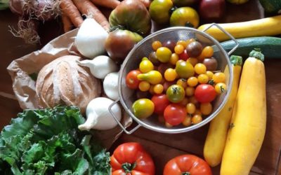 Définir sa stratégie : étude de marché et image de marque