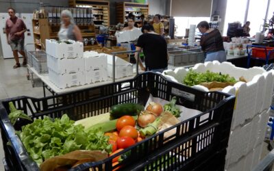 Nouvelle fonctionnalité de gestion des avoirs