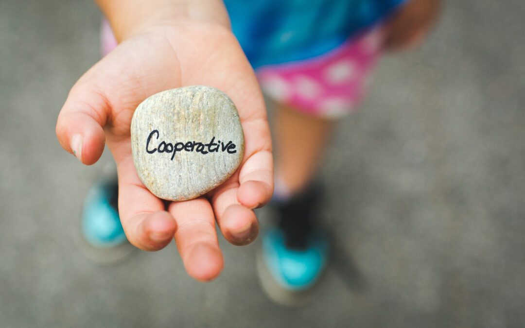 Article de recherche illustré par Open Food Network : Le travail de légitimation au sein des coalitions hybrides : le cas des plateformes coopératives